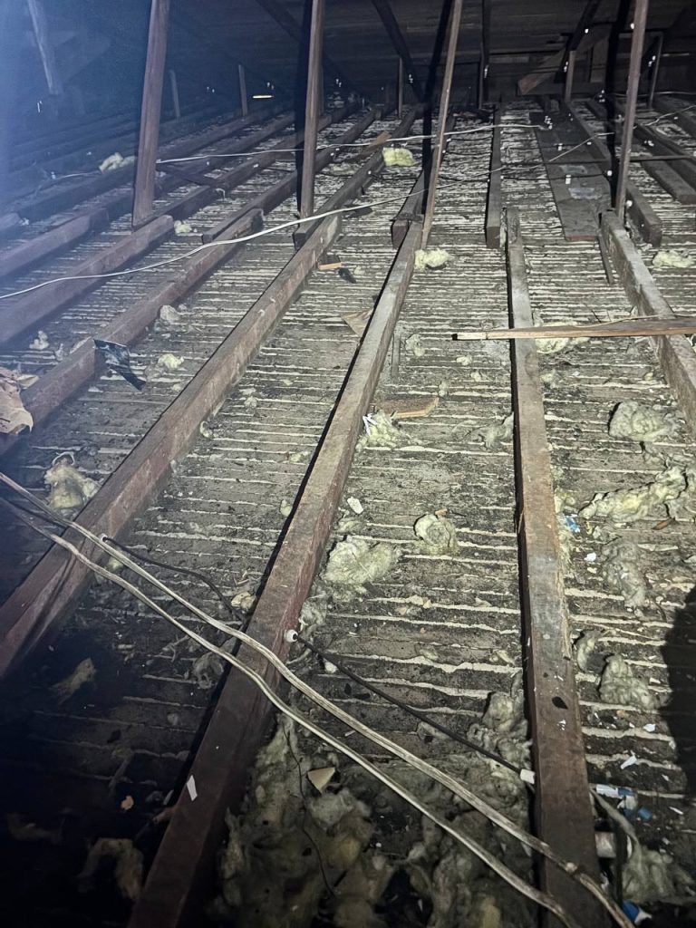 Attic Cleaning & Insulation Upgrade