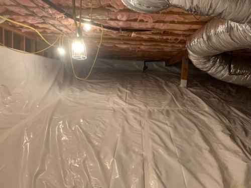 Attic & Crawlspace Remediation