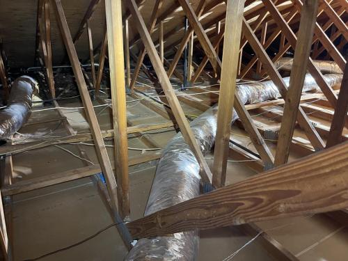 Attic Clean Up and Renovation