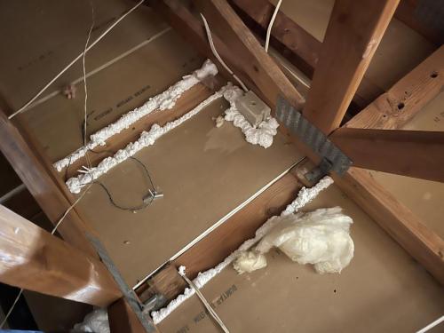 Rodent Exclusion