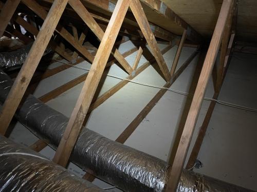 Attic Clean Up and Renovation