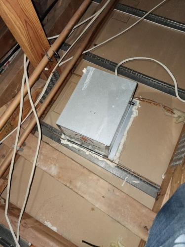 Rodent Exclusion
