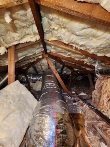 Crawlspace Remediation