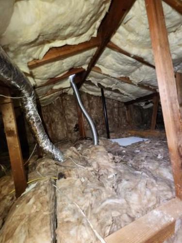 Crawlspace Remediation