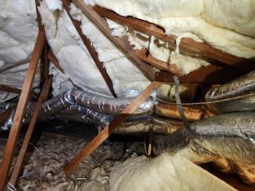 Crawlspace Remediation